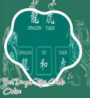 Dragon tiger odds
